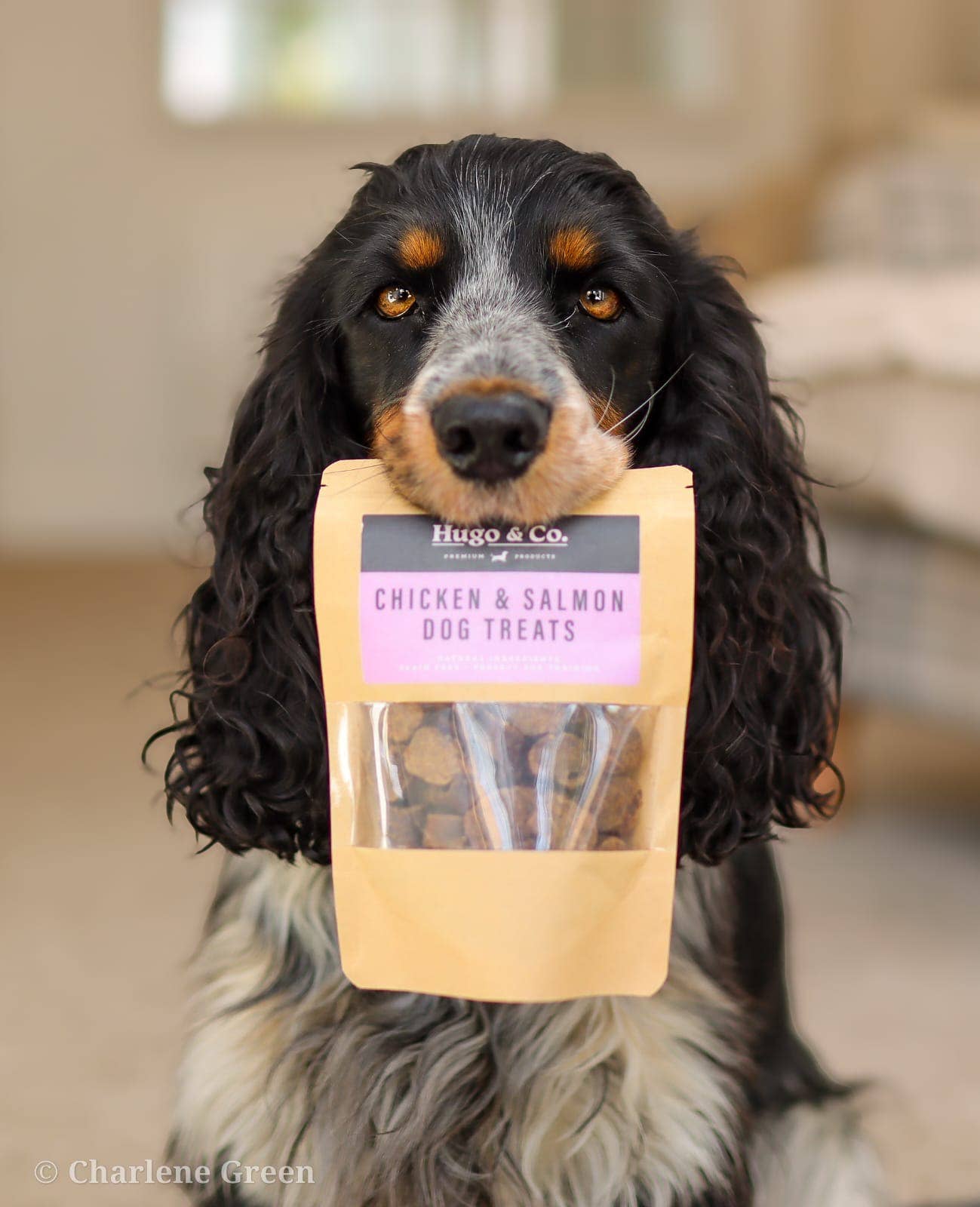 Hugo & Co Dog Treats - Salmon & Chicken Dog Treats