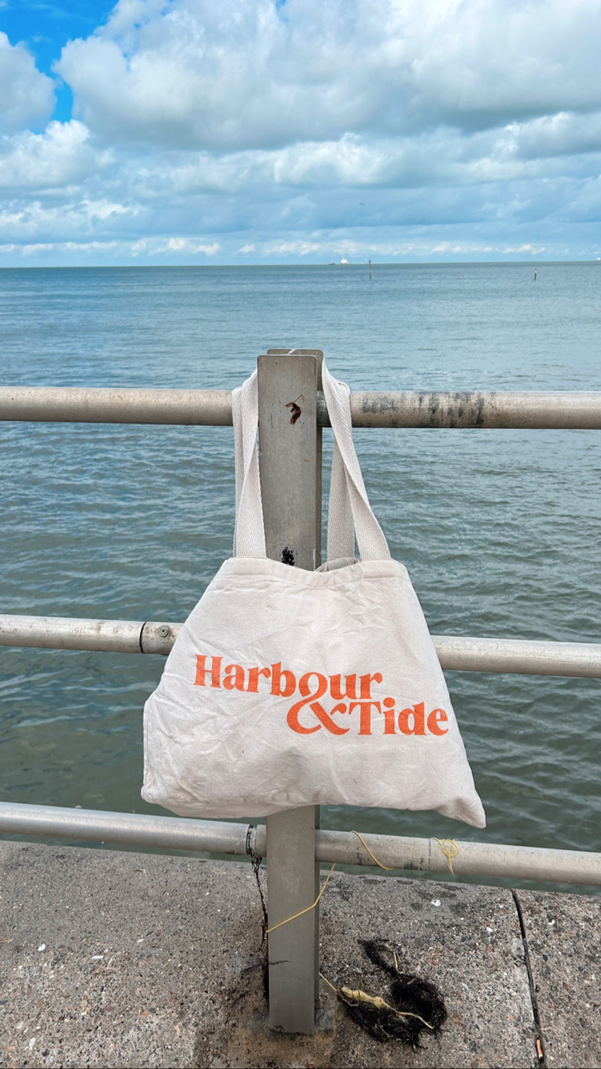 Harbour & Tide Swim Club / Sunday 24th September / 10am / Walpole Tidal Pool