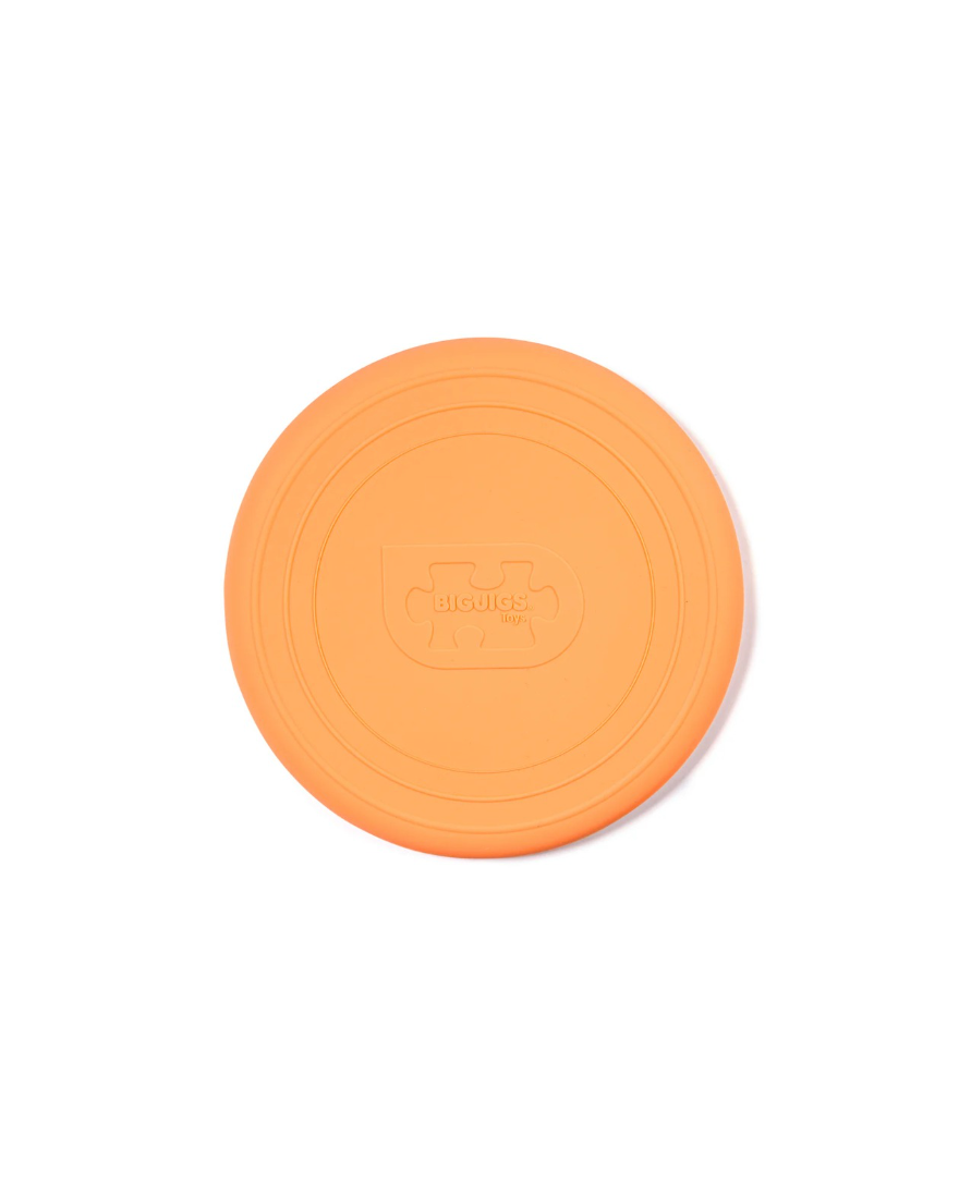 Silicone Flexible Flyer - Various Colours