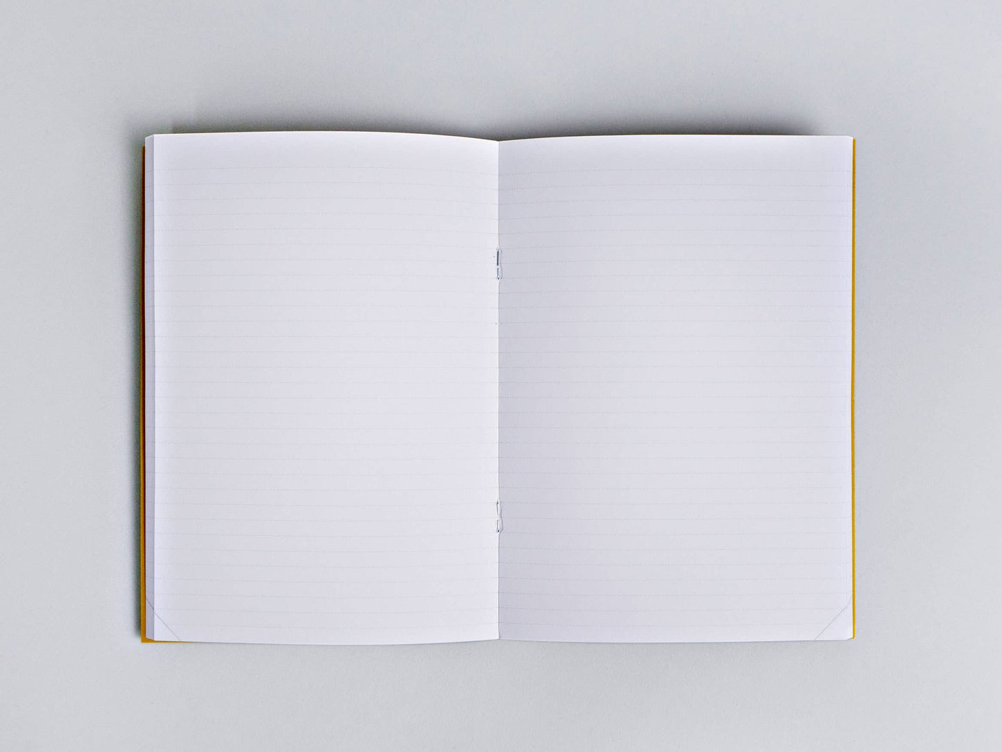 The Completist - Lucia 100 Page Notebook