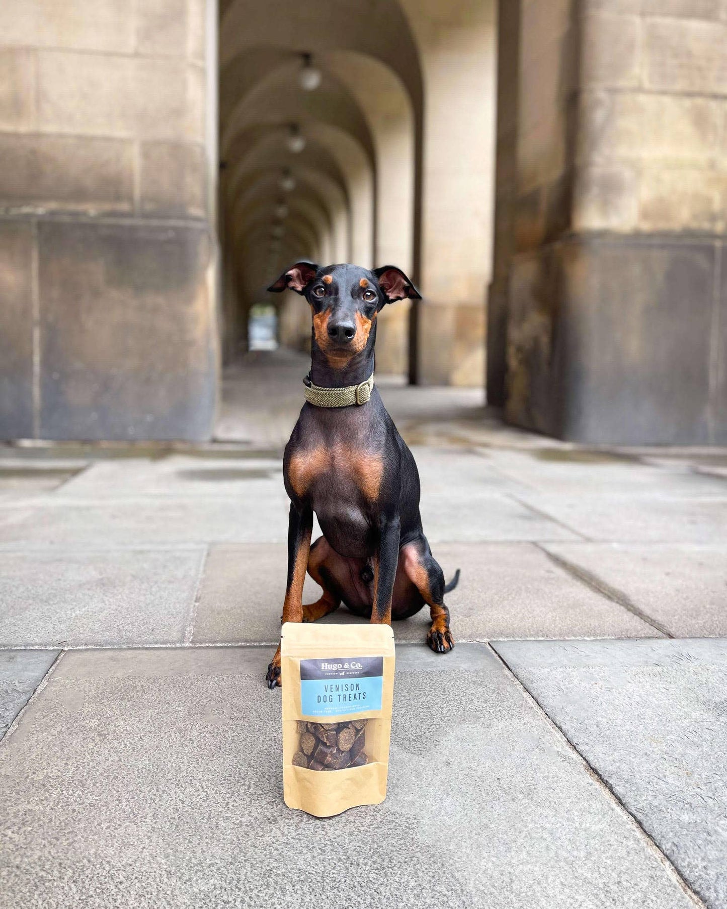 Hugo & Co Dog Treats - Venison Dog Treats