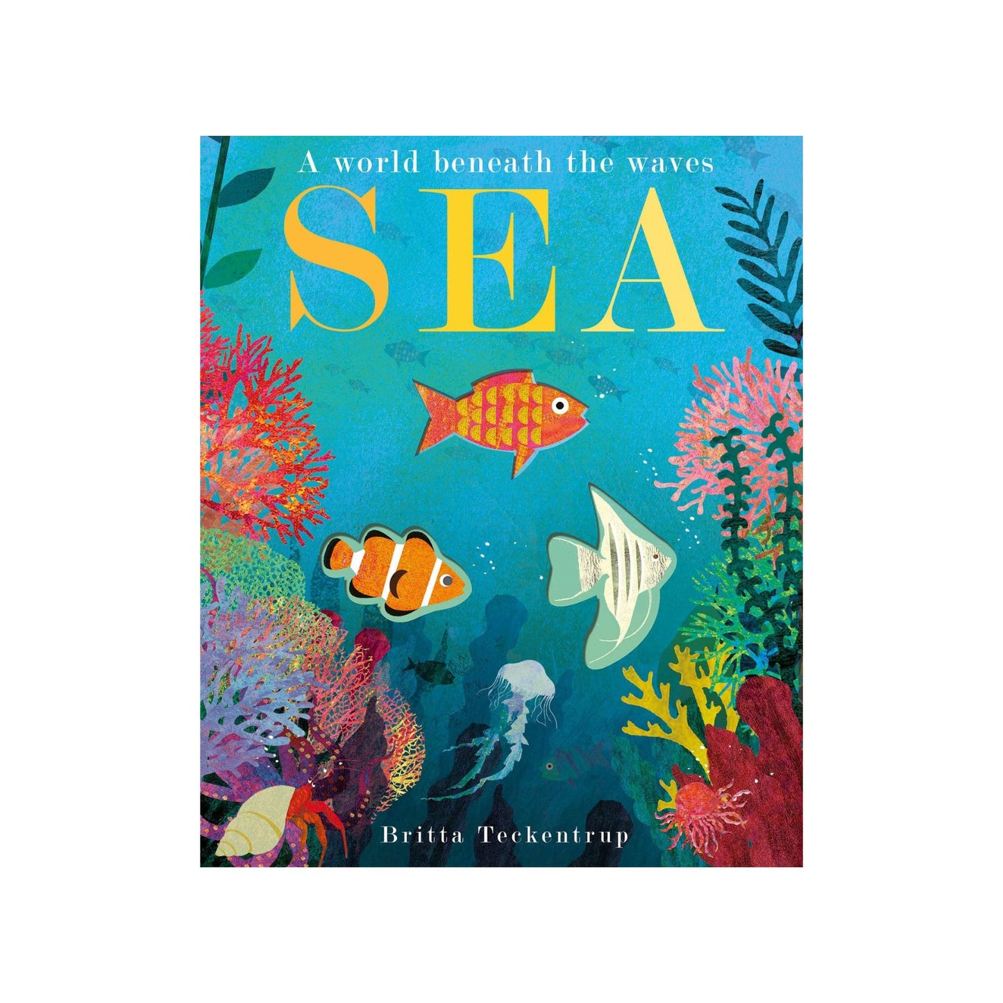 SEA: A World Beneath The Waves