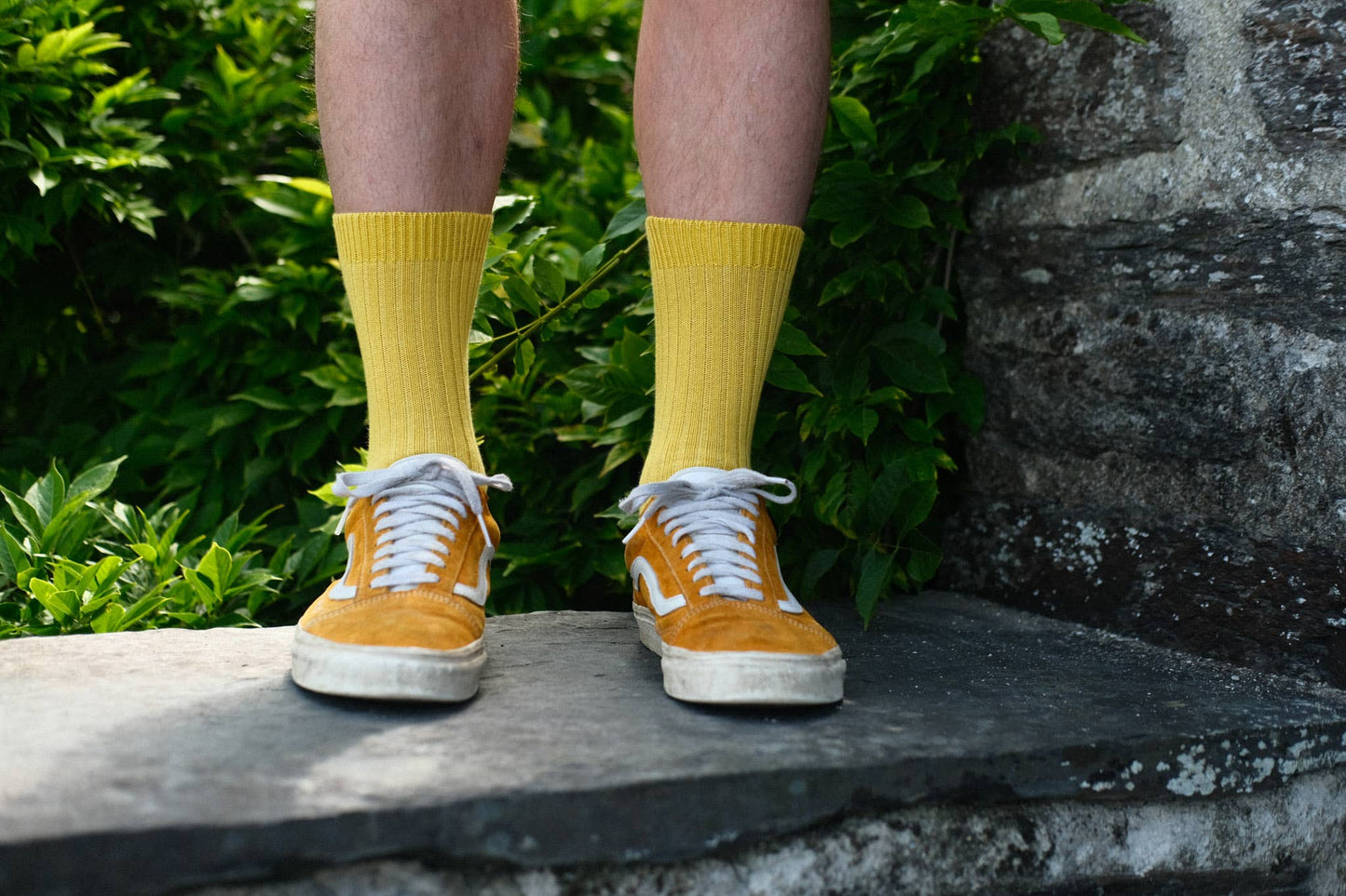 Sock Sisters - Yellow Wide Rib Socks