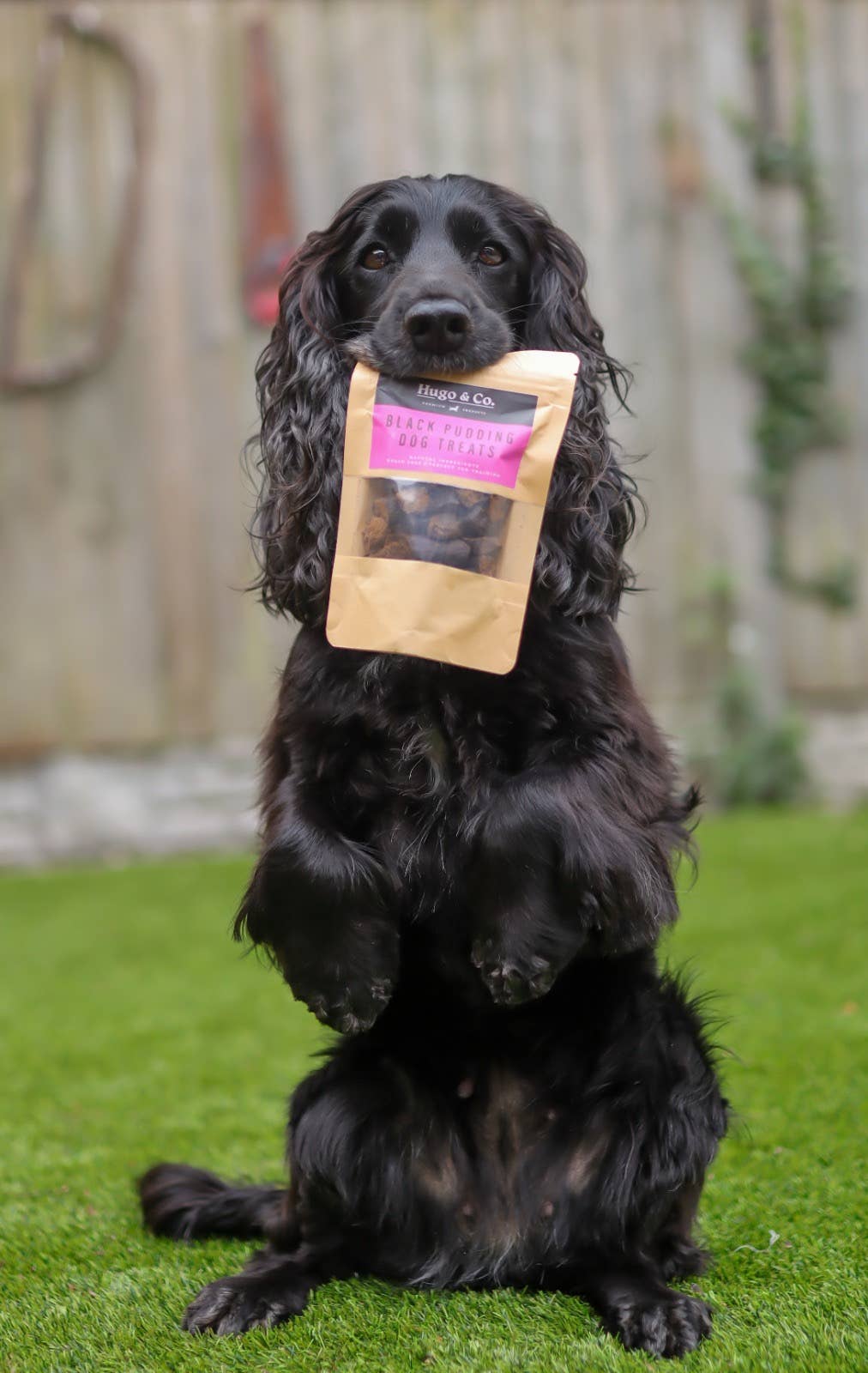 Hugo & Co Dog Treats - Black Pudding Dog Treat Bag