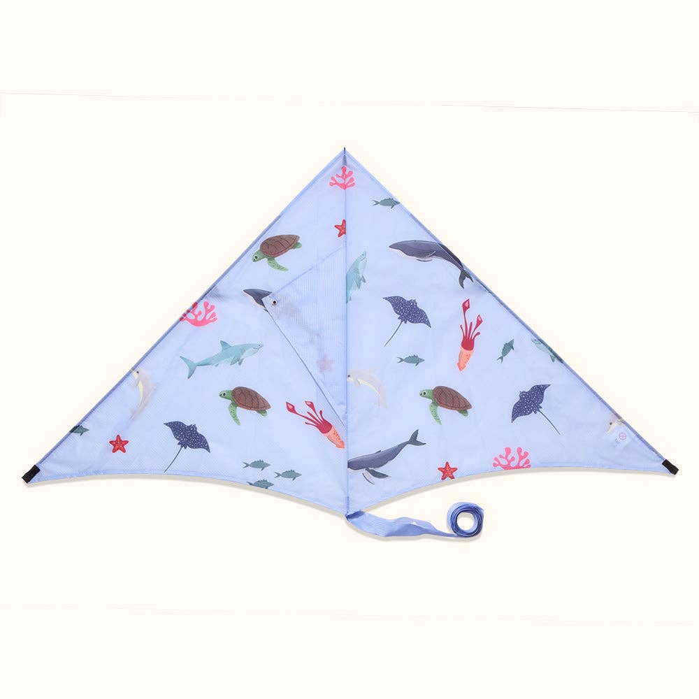 Eco Beach Ltd - Ocean - Children's Sustainable Kite