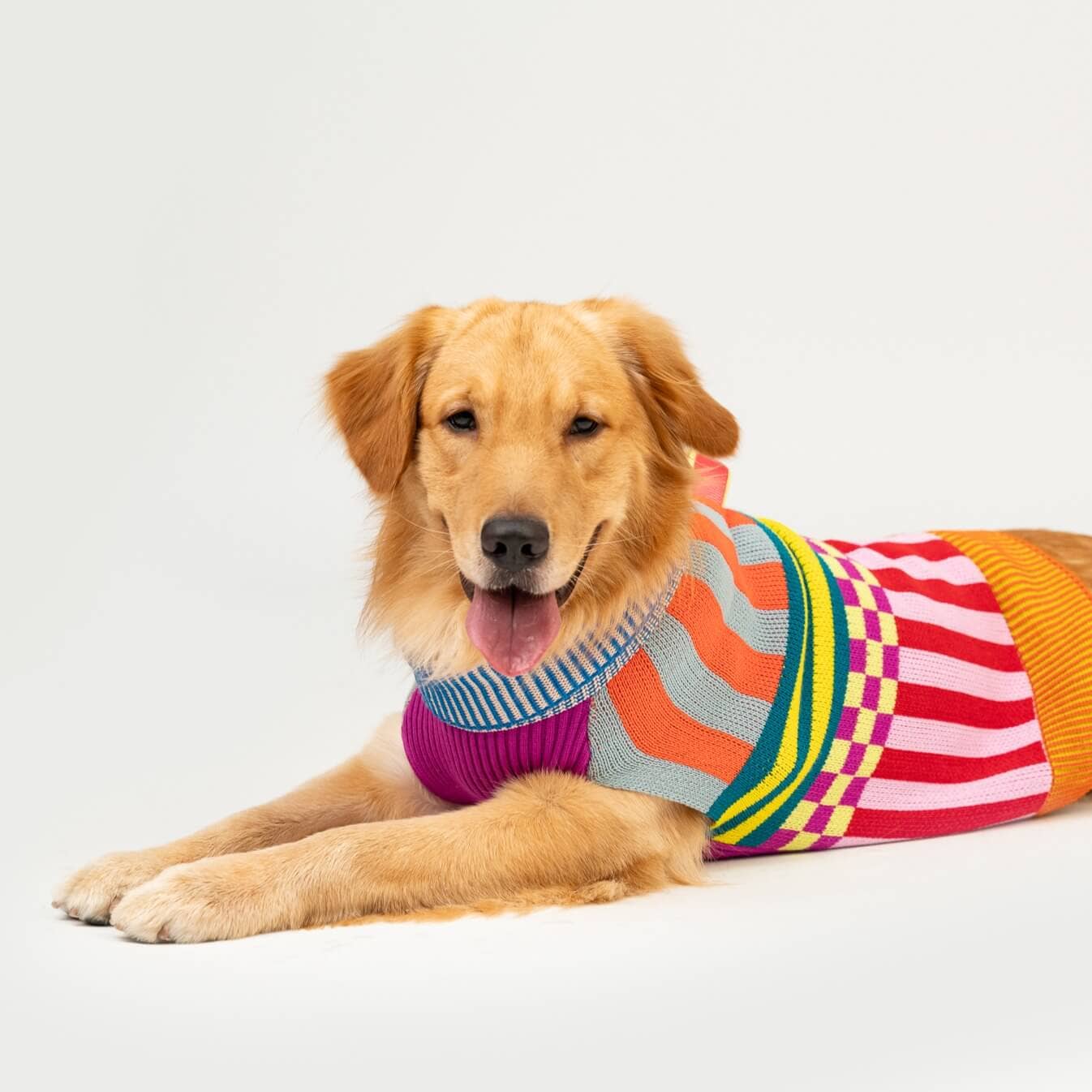 VERLOOP Pattern Patch Dog Sweater: Rainbow