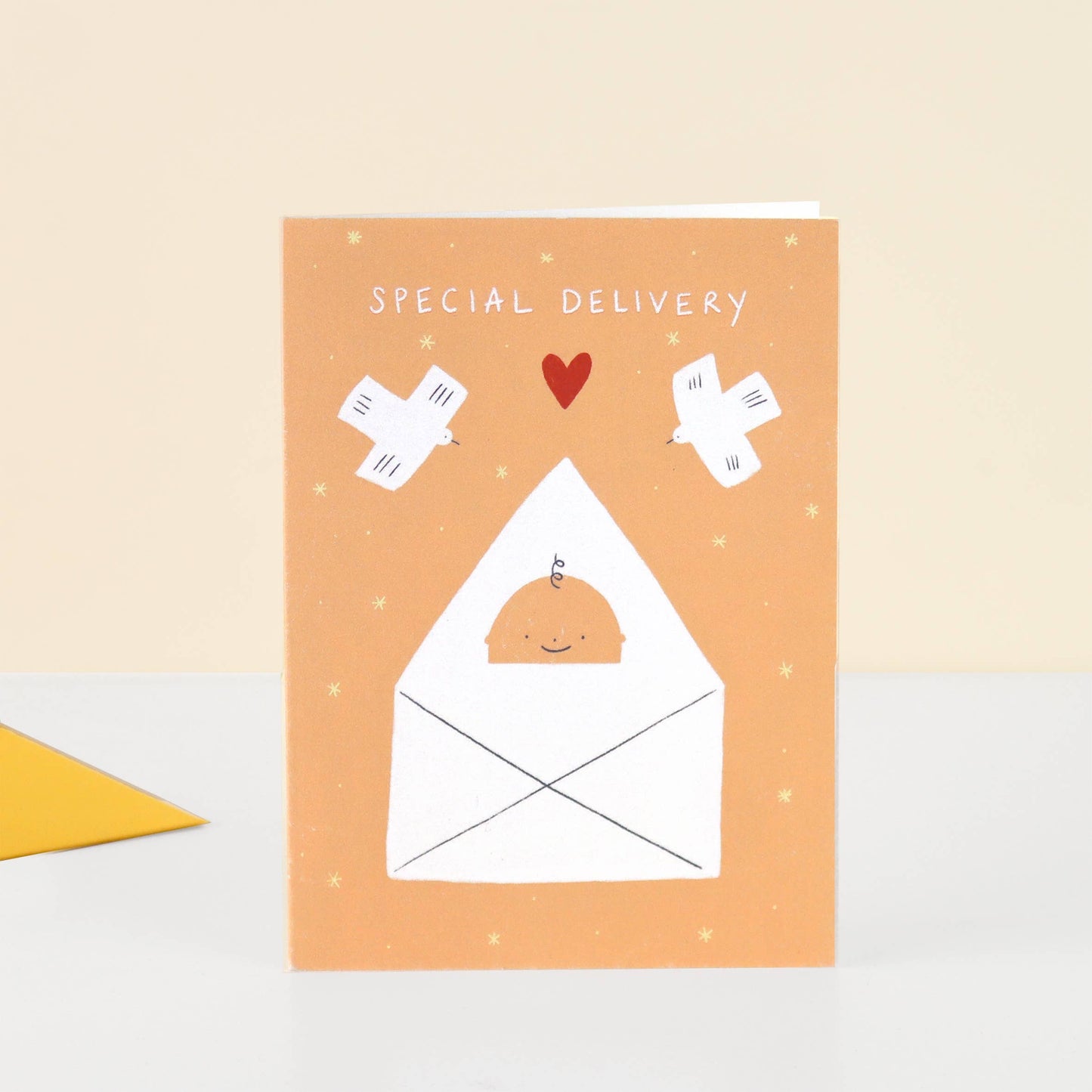 Little Black Cat Illustrated Goods - Special Delivery New Baby Card | Congratulations | Unisex