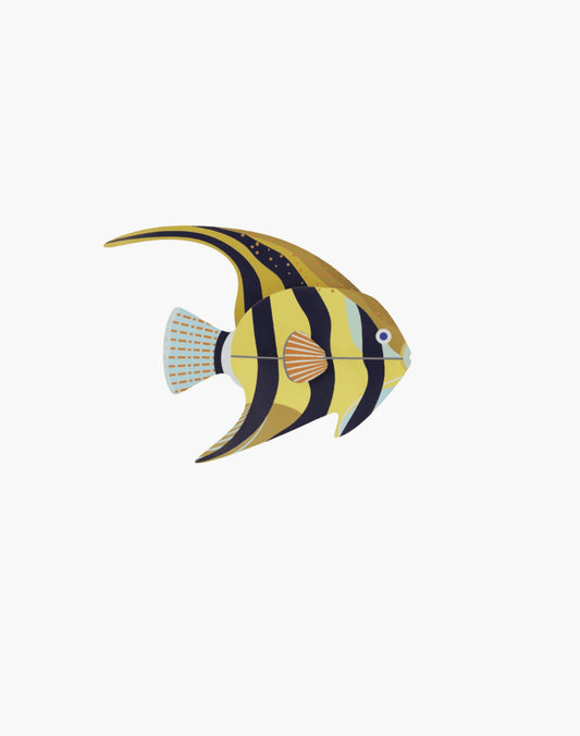 STUDIO ROOF ANGELFISH