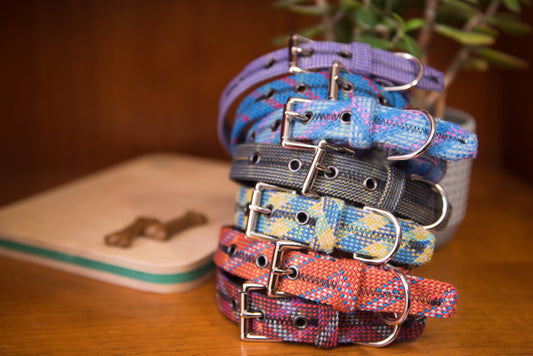 Scavenger Dog Collar made from retired climbing rope: Large