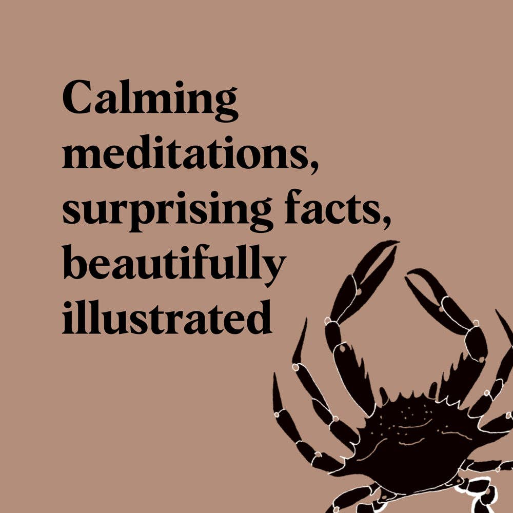 Beach Combing - Cultivate Mindful Moments by the Sea