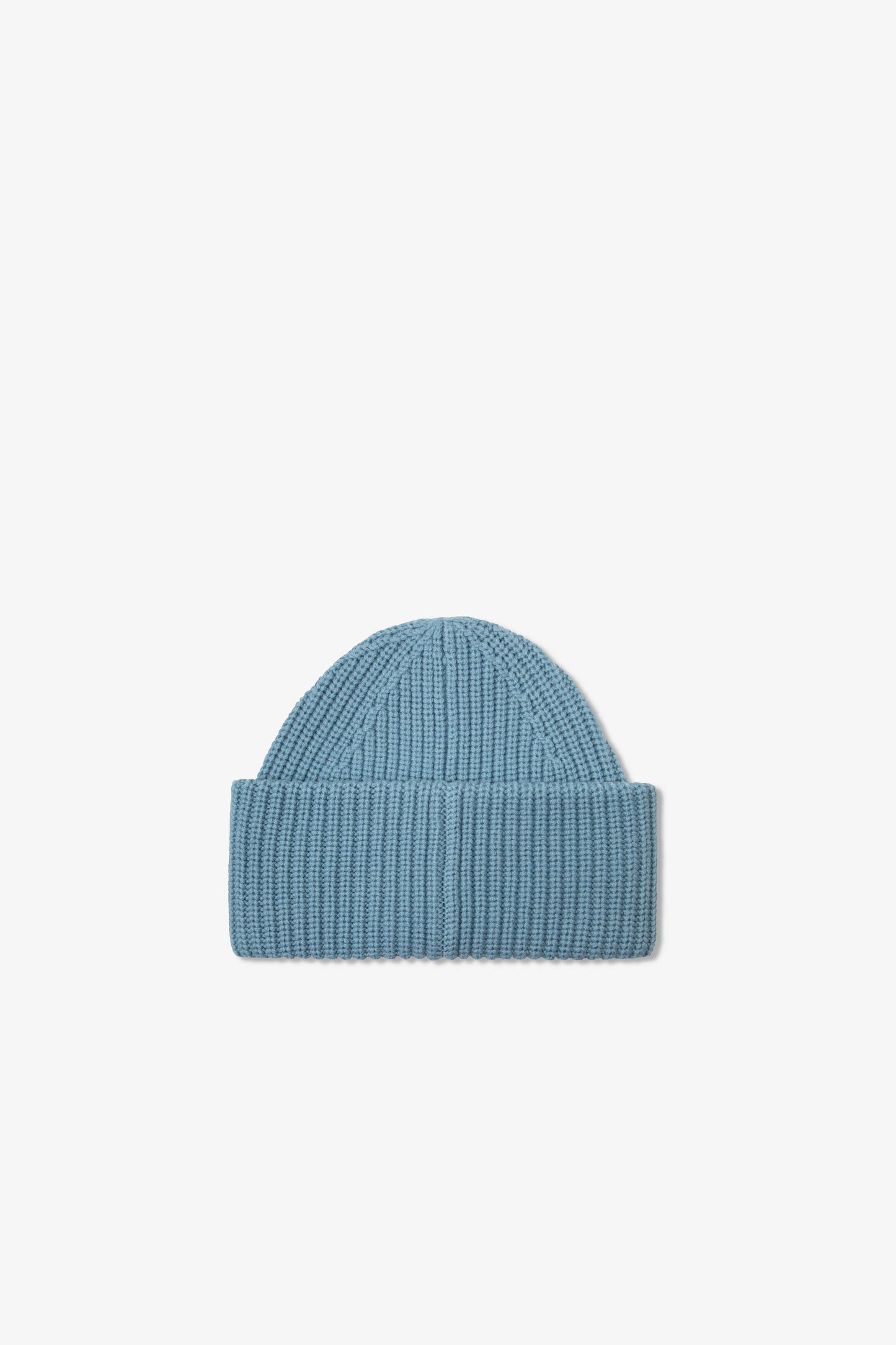 Arctic Fox - The Merino Wool Beanie - Blue