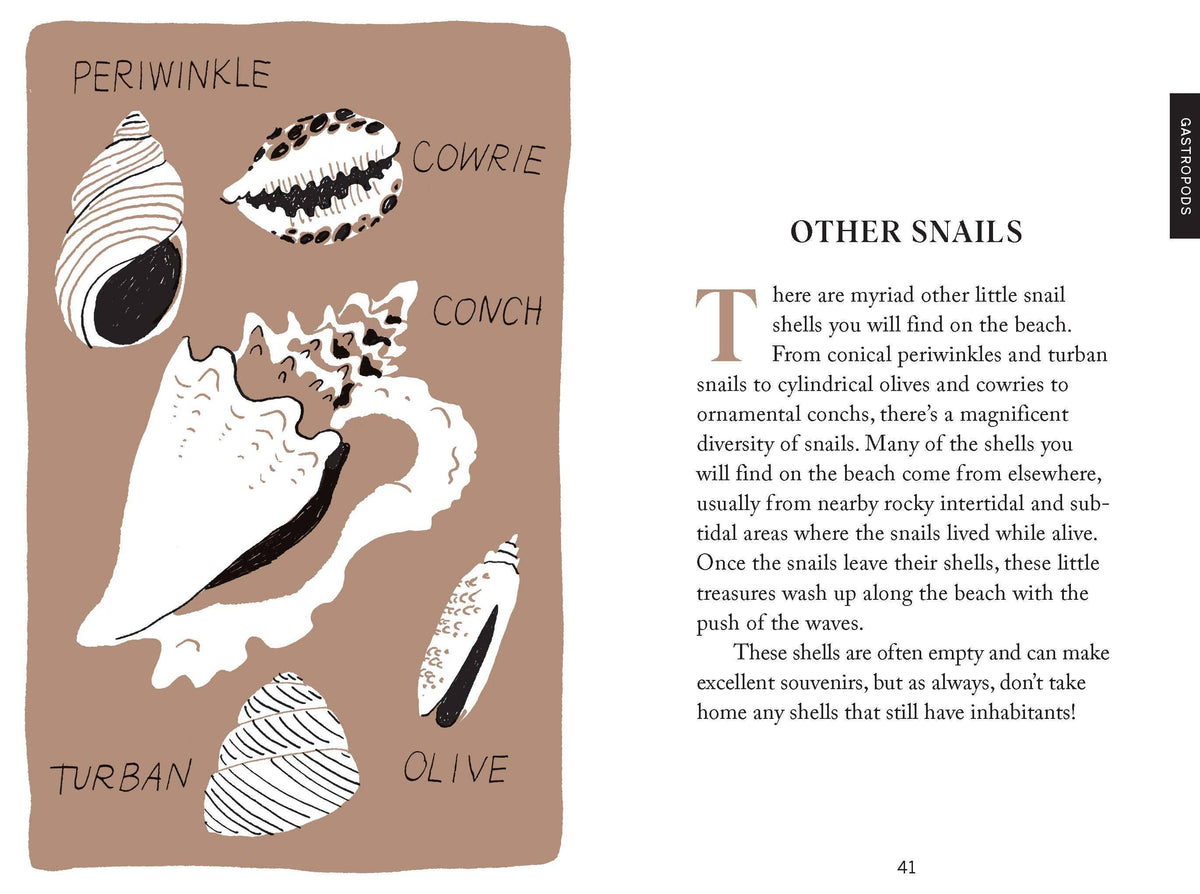Beach Combing - Cultivate Mindful Moments by the Sea
