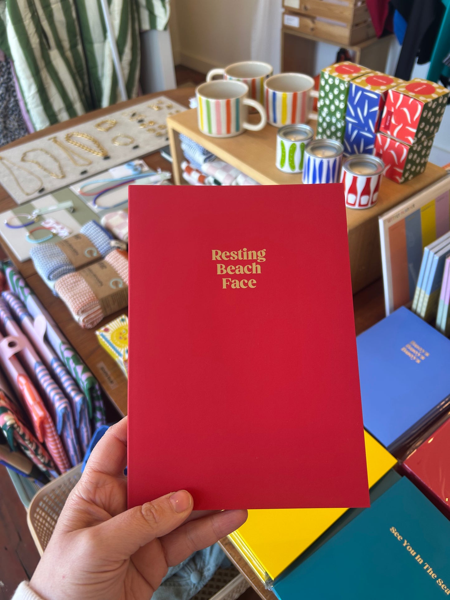 RESTING BEACH FACE NOTEBOOK