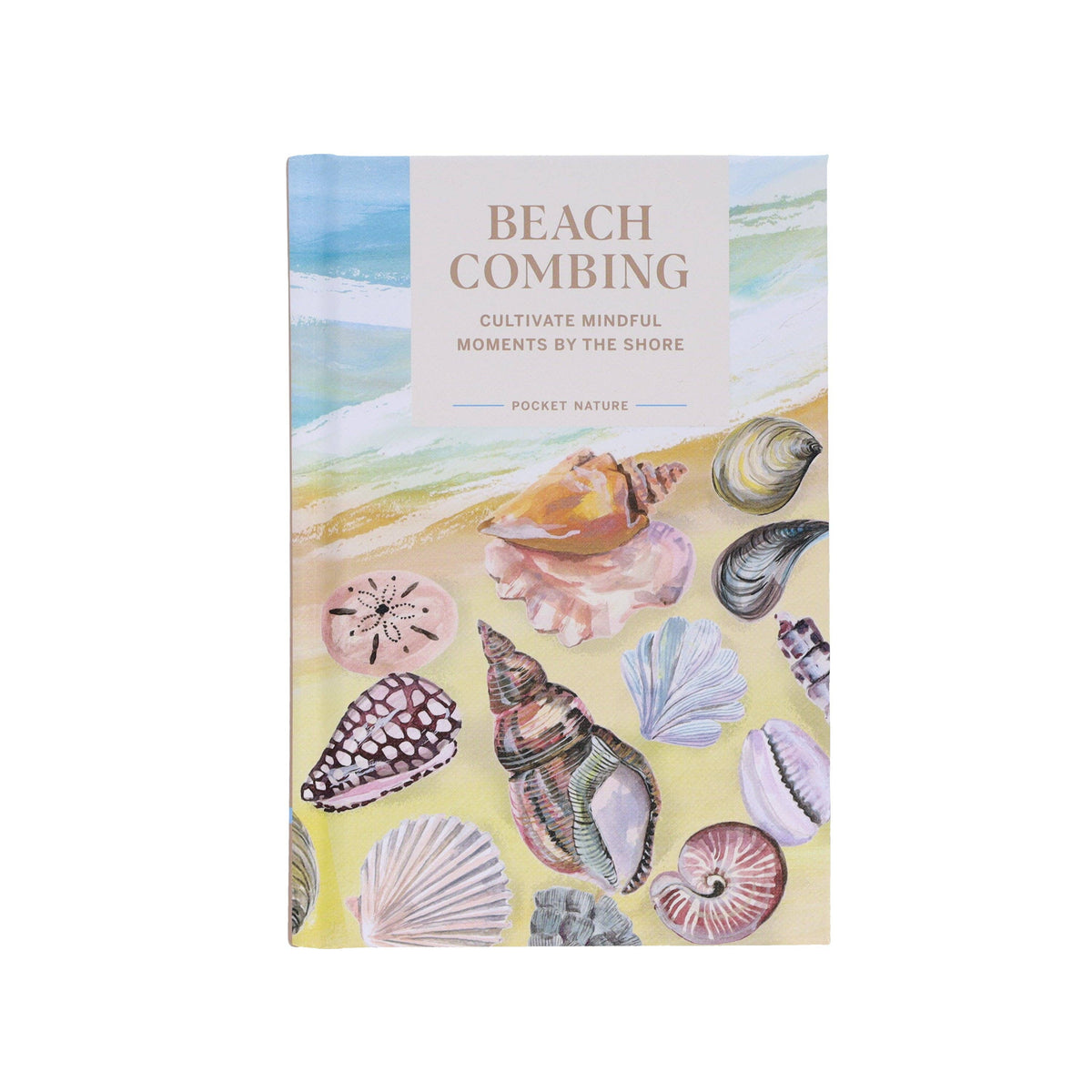Beach Combing - Cultivate Mindful Moments by the Sea