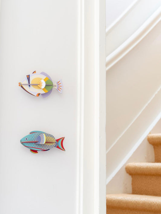STUDIOROOF PARROTFISH