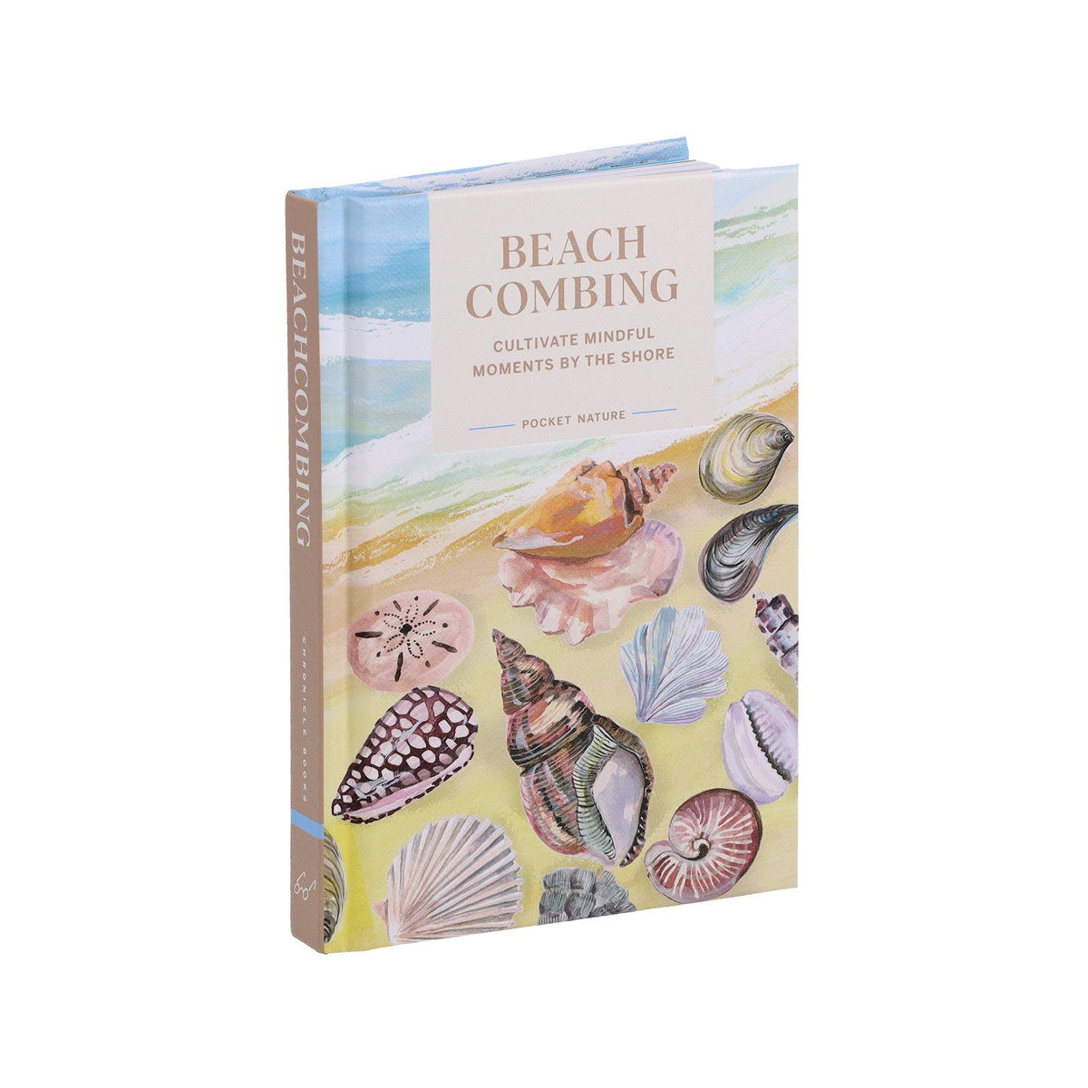 Beach Combing - Cultivate Mindful Moments by the Sea