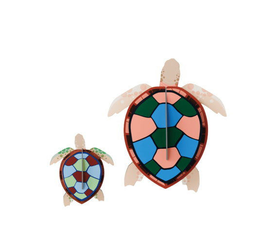 Studio Roof Sea Turtles