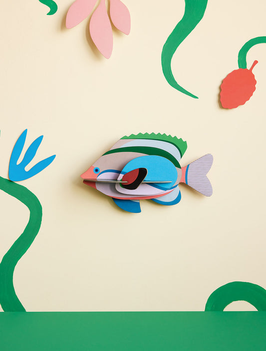 Studio Roof Fairy Wrasse Fish cardboard decoration ornament wall art