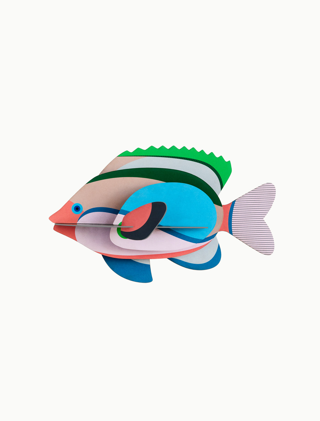 Studio Roof Fairy Wrasse Fish cardboard decoration ornament wall art