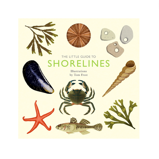 Little Guide to Shorelines