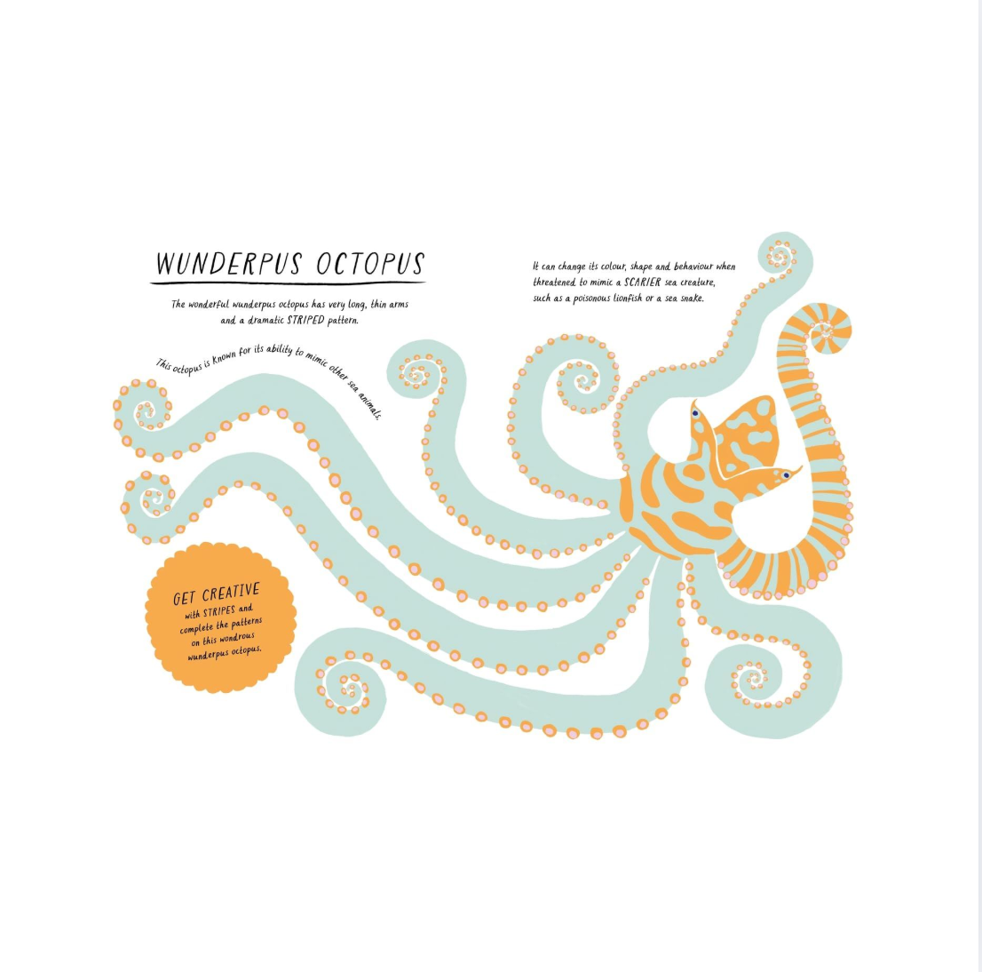 Drawn By Nature: Patterns. Calming Activities for Creative Minds