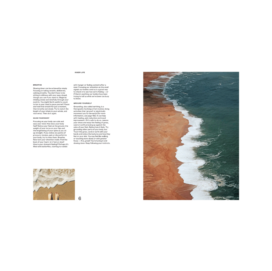 Wild Life: 50 Projects To Rewild Your Life by Anna Carlile