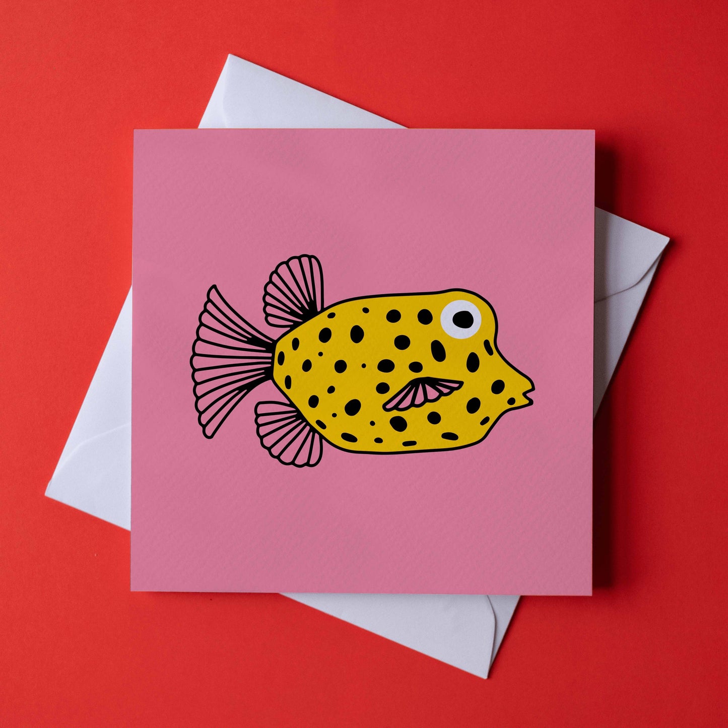 Sandra Liscio - Box Fish - Card: Single card