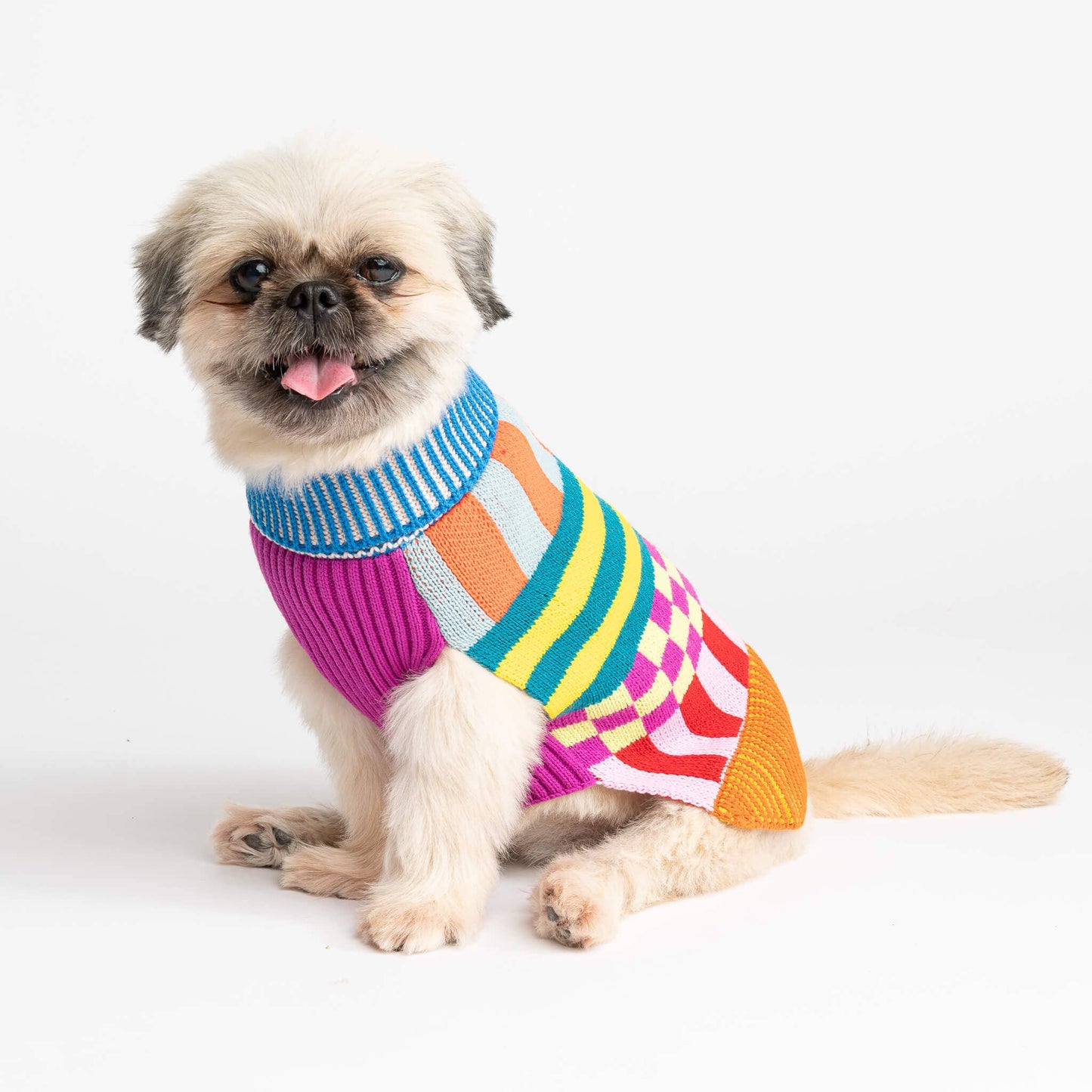 VERLOOP Pattern Patch Dog Sweater: Rainbow