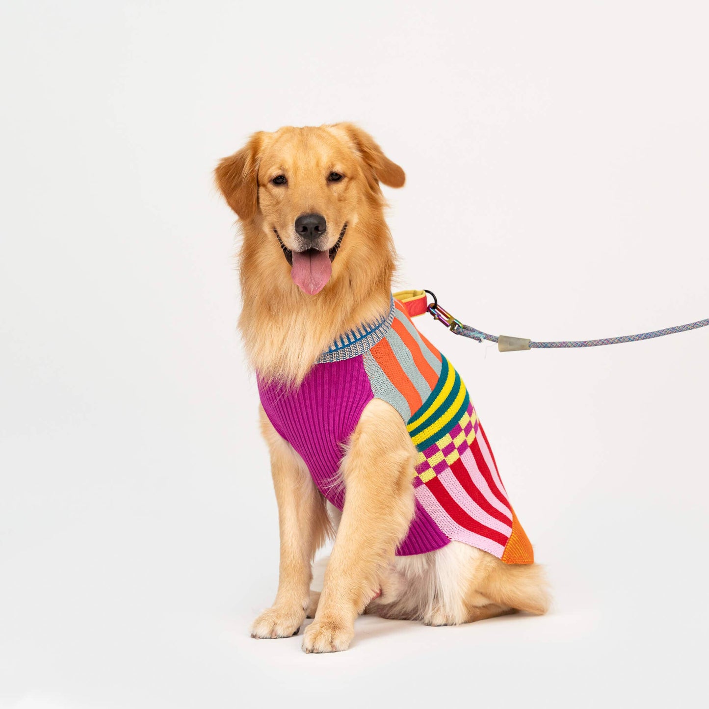 VERLOOP Pattern Patch Dog Sweater: Rainbow