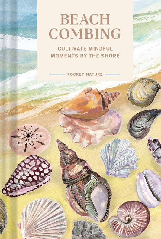 Beach Combing - Cultivate Mindful Moments by the Sea