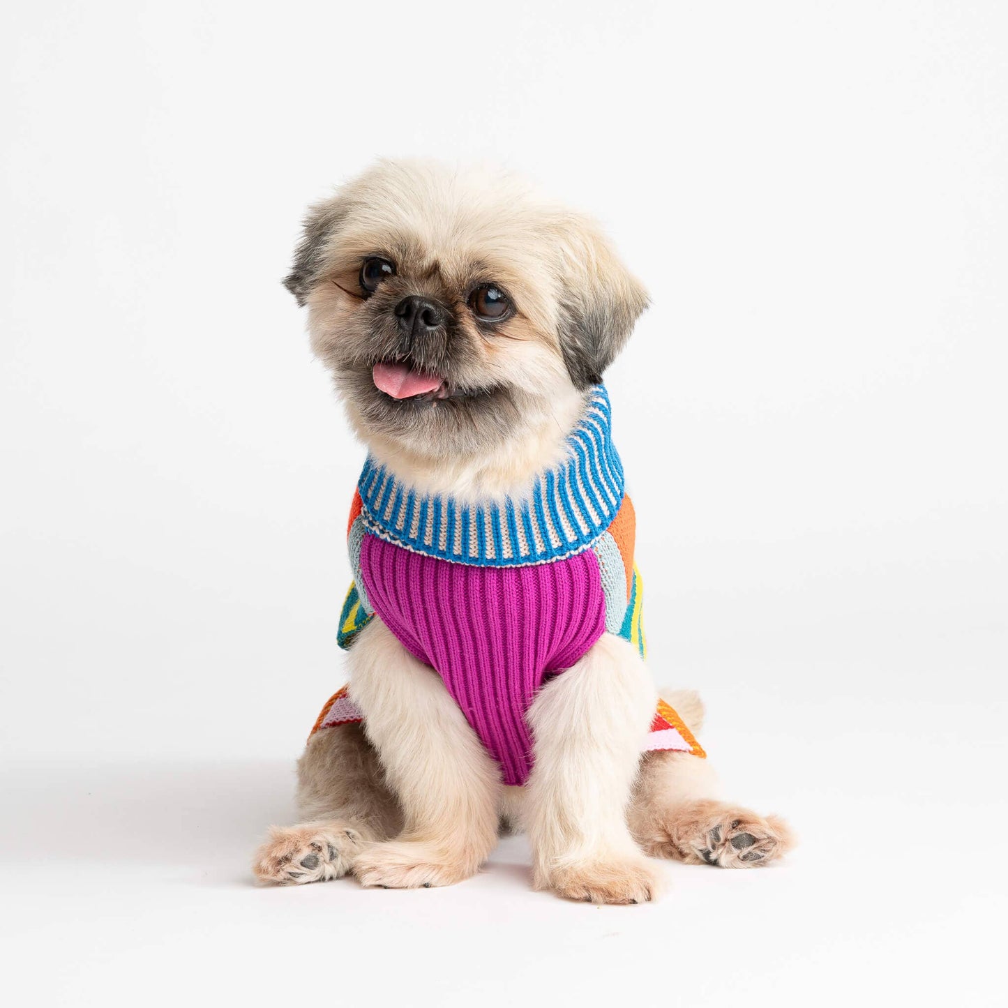 VERLOOP Pattern Patch Dog Sweater: Rainbow