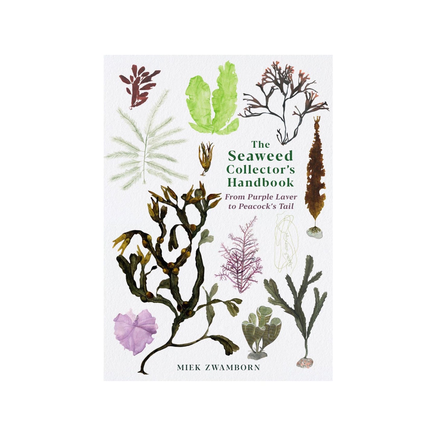 Seaweed Collectors Handbook by Miek Zwamborn