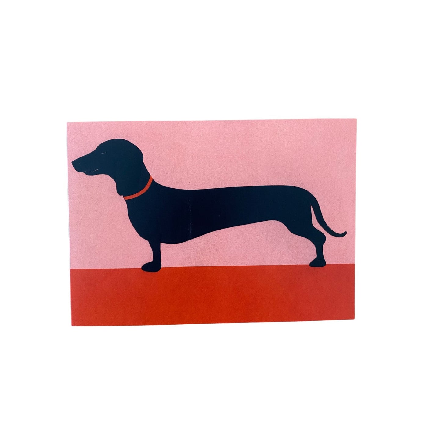 Sausage Dog by Rosi Feist