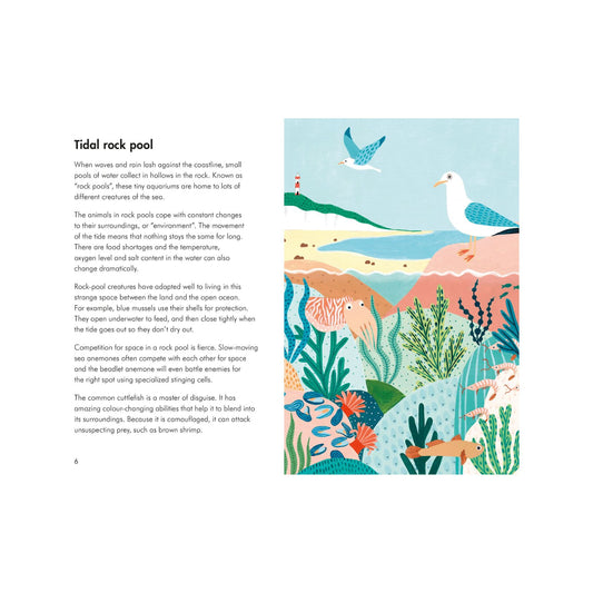SEA CREATURES: A LADYBIRD BOOK